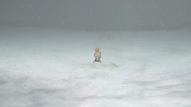 Frau von Schnee fast komplett abgedeckt