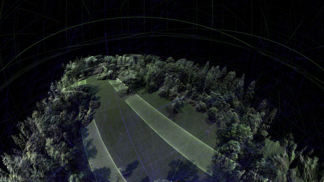 Scan von Bäumen