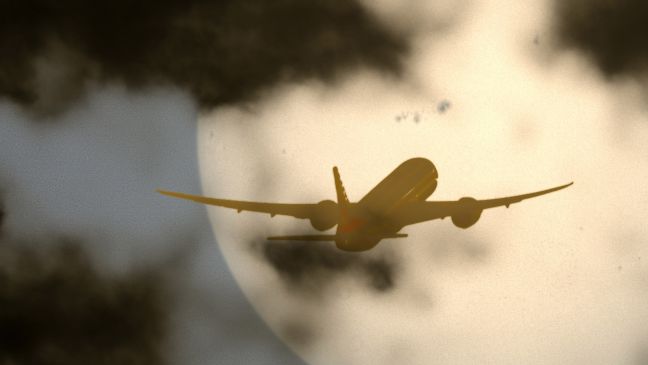 Zwischen Geäst ist ein Flugzeug im Gegenlicht des großen Mondes zu sehen