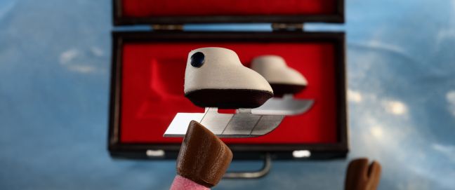 Ein Huf hält Schlittschuhe hoch.