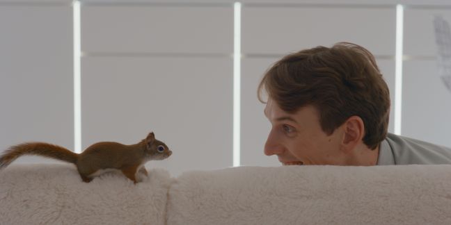 Pasi und das Eichhörnchen spielen auf dem Couchrand