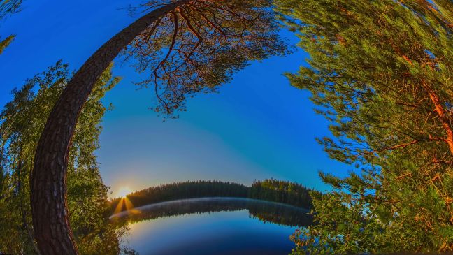 Ein Waldsee im Sonnenaufgang