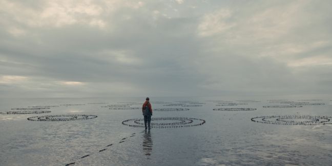 Tina vor Kreisen aus Tanenzapfen im Watt