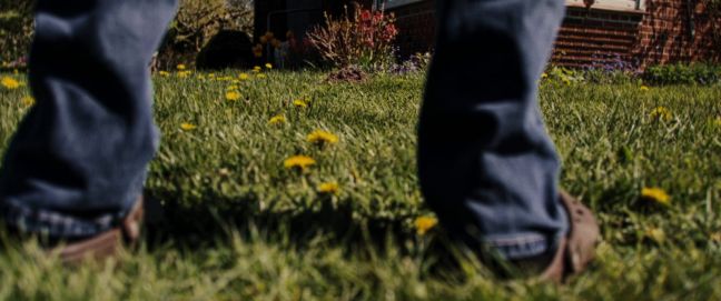 Elke steht einem Maulwurfshügel gegenüber, Bild durch die Beine