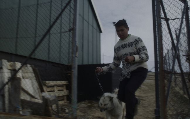 Kaali rennt mit seinem Hund