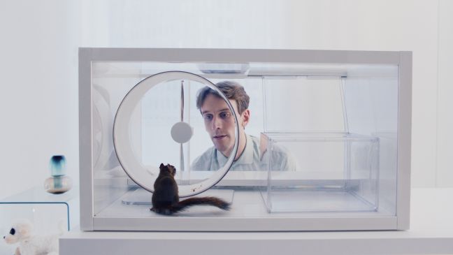Pasi beobachtet das Eichhörnchen in seinem Käfig