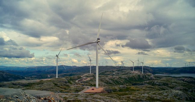 Windpark in der Landschaft
