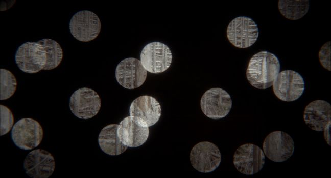 Ein toter Wald, mehrere Bäume gefällt oder umgestürzt, sichtbar durch ein paar runde Löcher durch eine schwarze Fläche