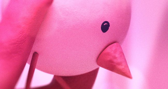 Eine Nahaufnahme des Vogels