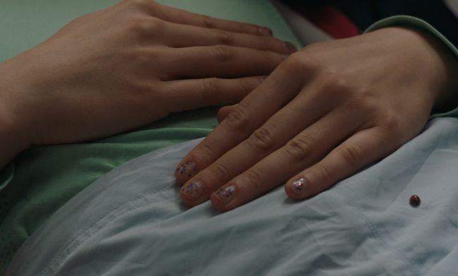 Zwei Hände in Nahaufnahme mit Glitzernagellack und einem Marienkäfer