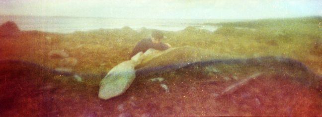Person stützt sich auf einen Wal am Ufer