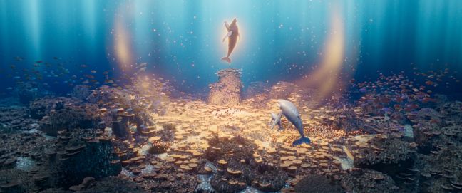 Ein Wal schwebt in lichtumflutetem Wasser