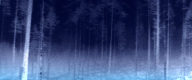Verschwommene Landschaft, nachts