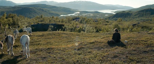 Landschaftaufnahme: Elle-Marja sitzt auf einer Wiese, neben ihr grasen Rentiere. Im Hintergrund sind Seen, Berge und Hügel.