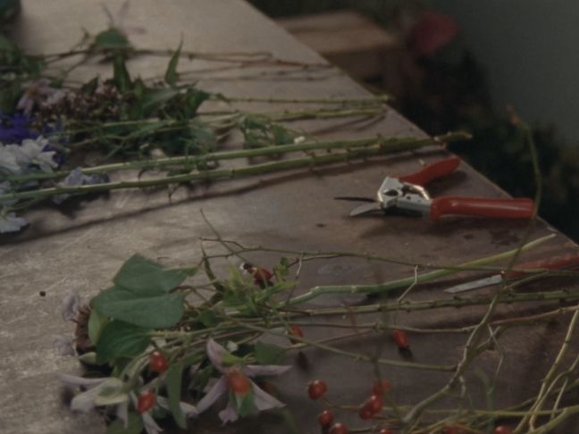 Blumen auf einem Tisch, eine Gartenschere daneben