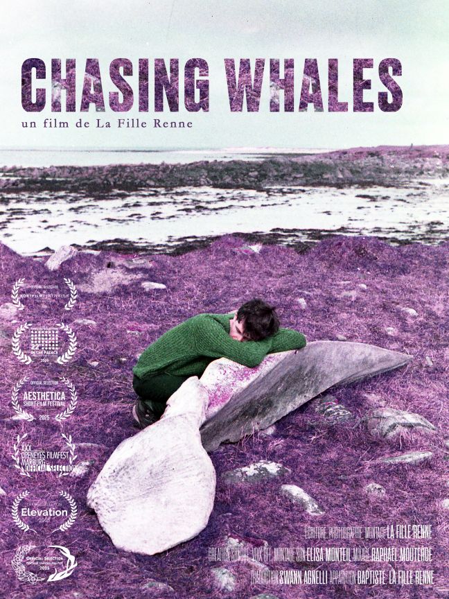 Filmposter Chasing Whales