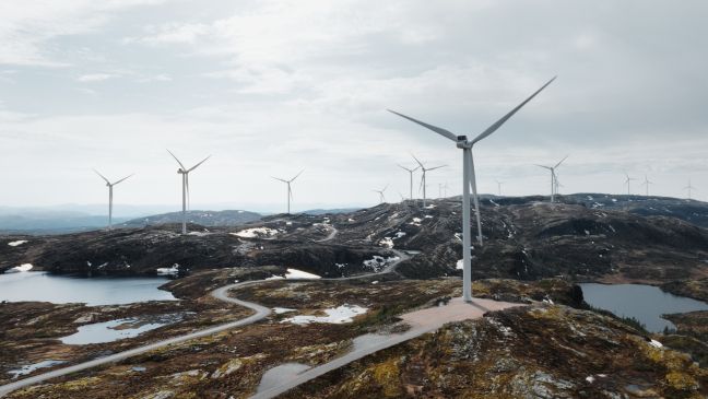 Landschaft voller Windräder