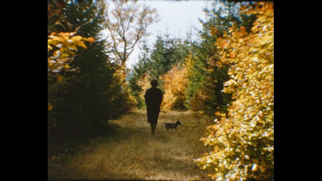 Monikas Mutter mit dem Rücken zur Kamera im Wald, mit Hund