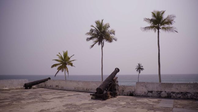 Blick von der verwitterten Burg auf Palmen und das Meer, an der Kante stehen zwei Kanonen