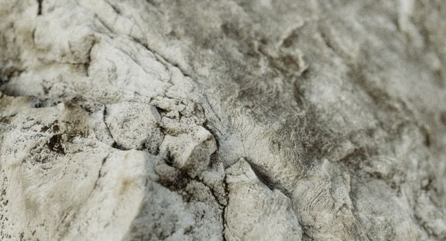 Nahaufnahme von Gestein