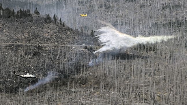 Zwei Löschflugzeuge fliegen über einem ausgebrannten Wald und werfen Wasser ab
