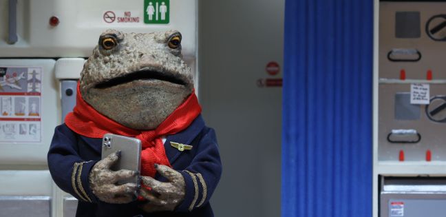 Stewardess Kröte